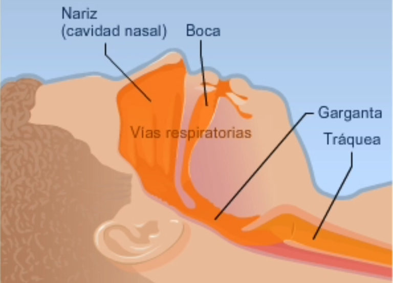 CardioVisual Adds Spanish-Language Videos to Heart Health App