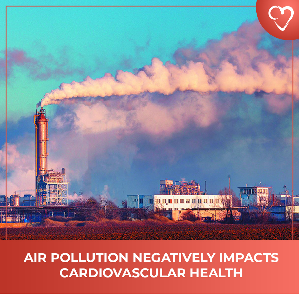 Air Pollution Negatively Impacts Cardiovascular Health